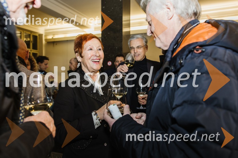 Reka Soča in njeni mostovi, razstava