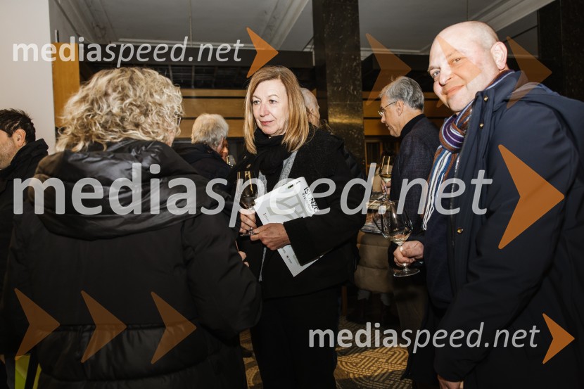 Reka Soča in njeni mostovi, razstava