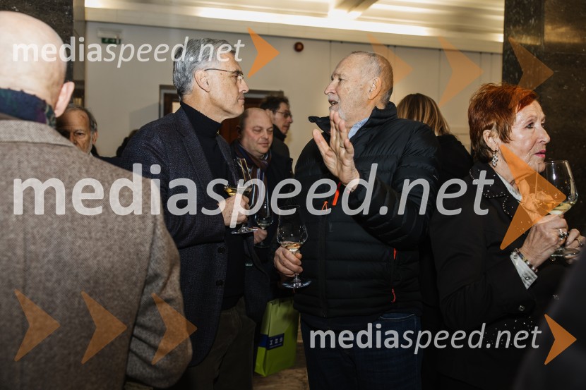 Reka Soča in njeni mostovi, razstava