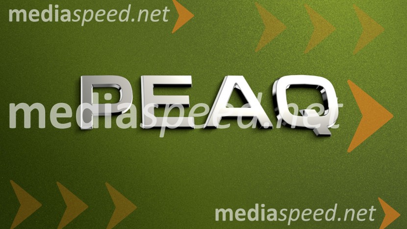 Škoda Peaq: novo električno paradno vozilo za sodobne družine