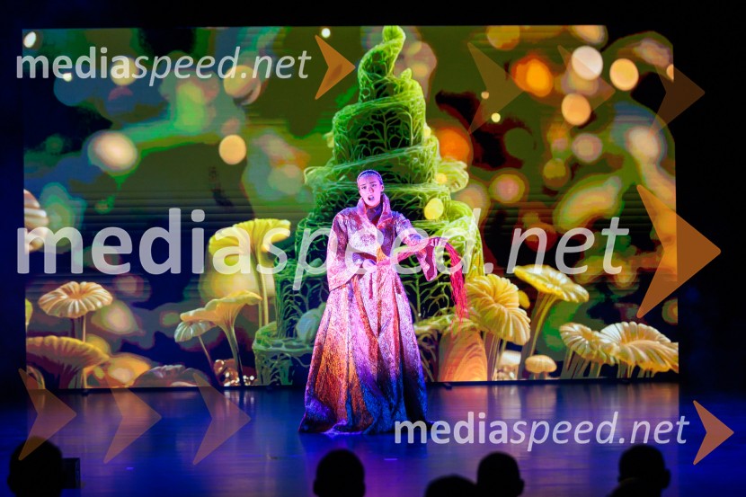 Zgodovinski dogodek za Ribnico. Urban center je odprt