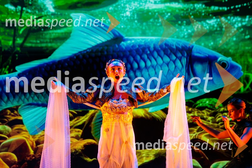 Zgodovinski dogodek za Ribnico. Urban center je odprt