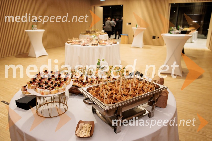 Zgodovinski dogodek za Ribnico. Urban center je odprt