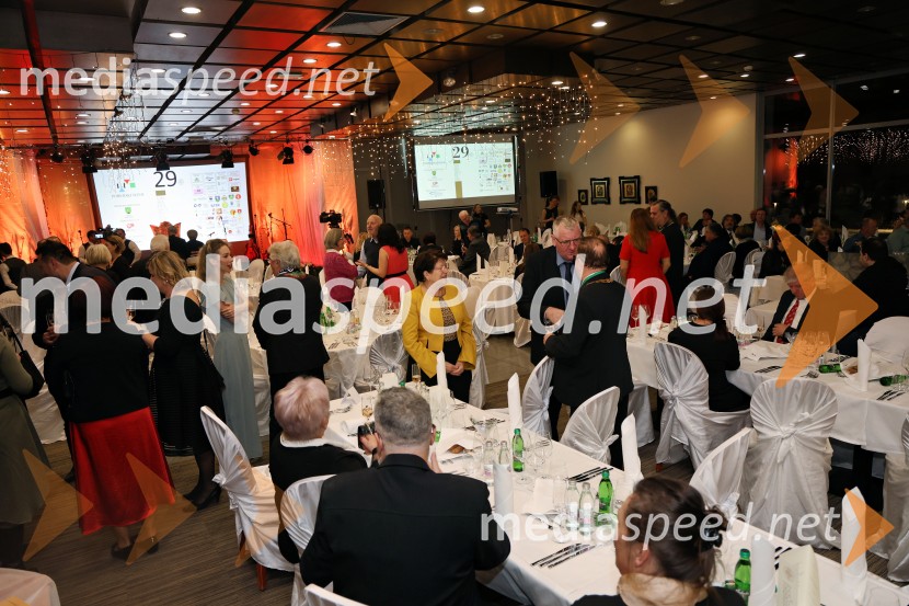 29. Vinska kraljica Slovenije 2026 je Nika Martinčič