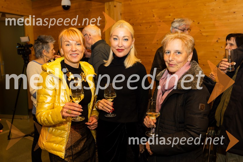 Iskrivo v živo: pogovr z prof. dr. Božidar Jezernik in Marcel Štefančič