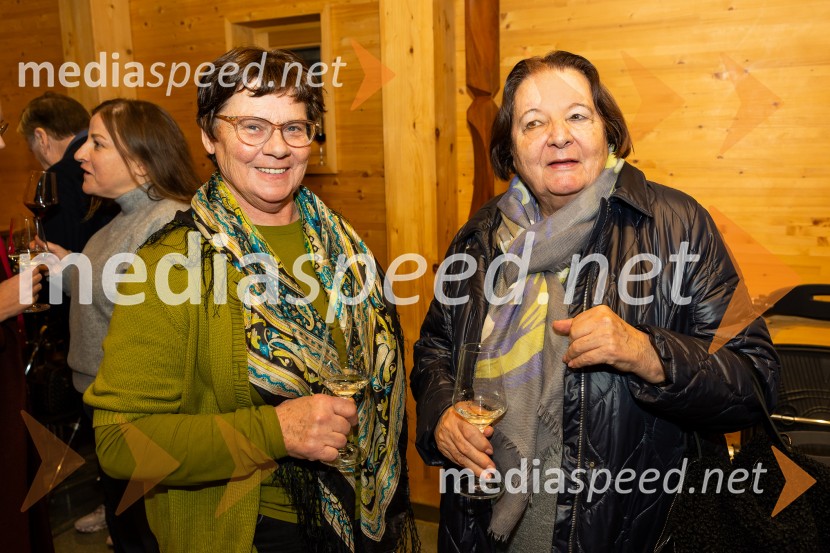 Iskrivo v živo: pogovr z prof. dr. Božidar Jezernik in Marcel Štefančič
