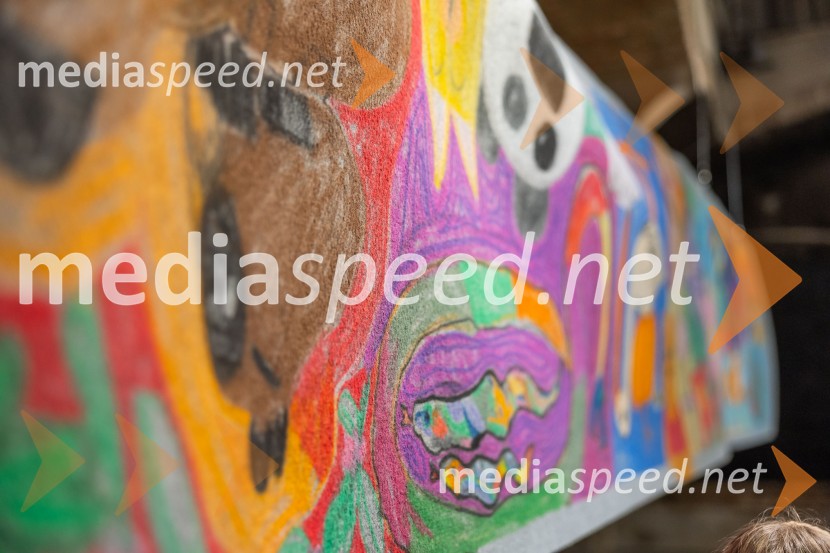 V Mestni hiši odprli razstavo Živalce in rastlinice