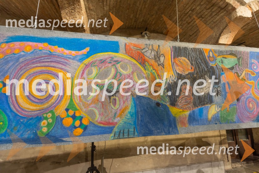 V Mestni hiši odprli razstavo Živalce in rastlinice