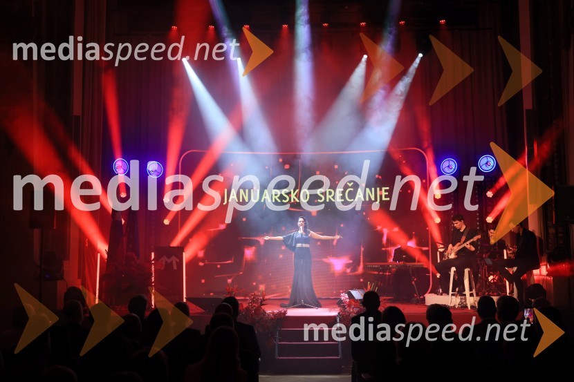 Tonetu Strnadu priznanje za življenjsko delo,  mladi manager 2025 je Aleš Ugovšek iz skupine M Sora,  Artemidi v roke Ireni Brugger in Juditi Rigler