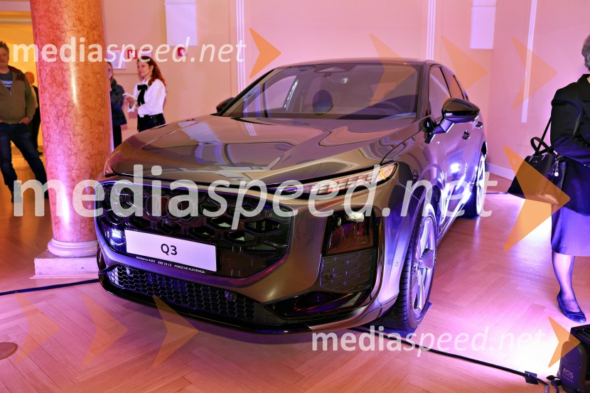 Tonetu Strnadu priznanje za življenjsko delo,  mladi manager 2025 je Aleš Ugovšek iz skupine M Sora,  Artemidi v roke Ireni Brugger in Juditi Rigler