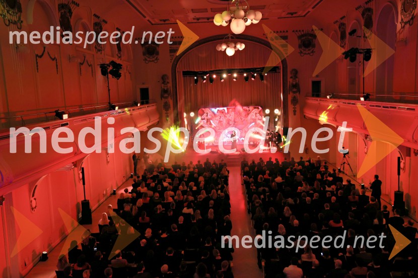 Tonetu Strnadu priznanje za življenjsko delo,  mladi manager 2025 je Aleš Ugovšek iz skupine M Sora,  Artemidi v roke Ireni Brugger in Juditi Rigler