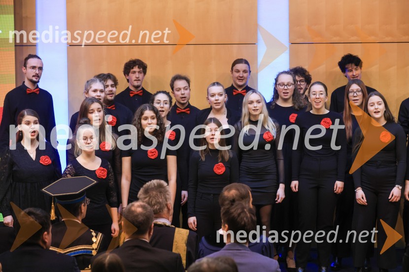 Univerza v Mariboru  ob rektorjevem dnevu podelila nagrade in priznanja