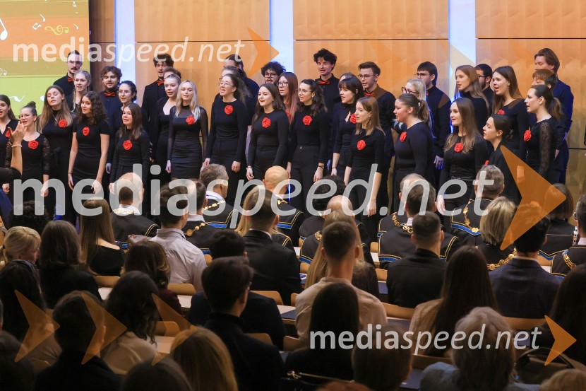 Univerza v Mariboru  ob rektorjevem dnevu podelila nagrade in priznanja