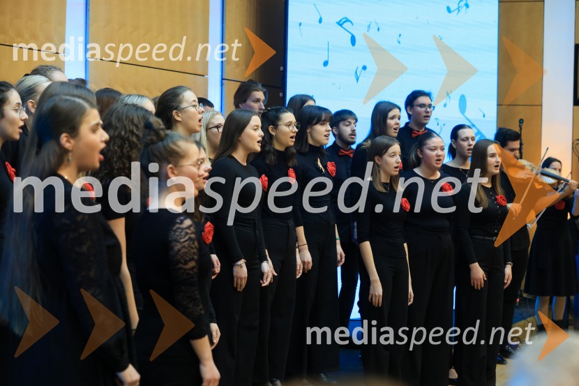 Univerza v Mariboru  ob rektorjevem dnevu podelila nagrade in priznanja