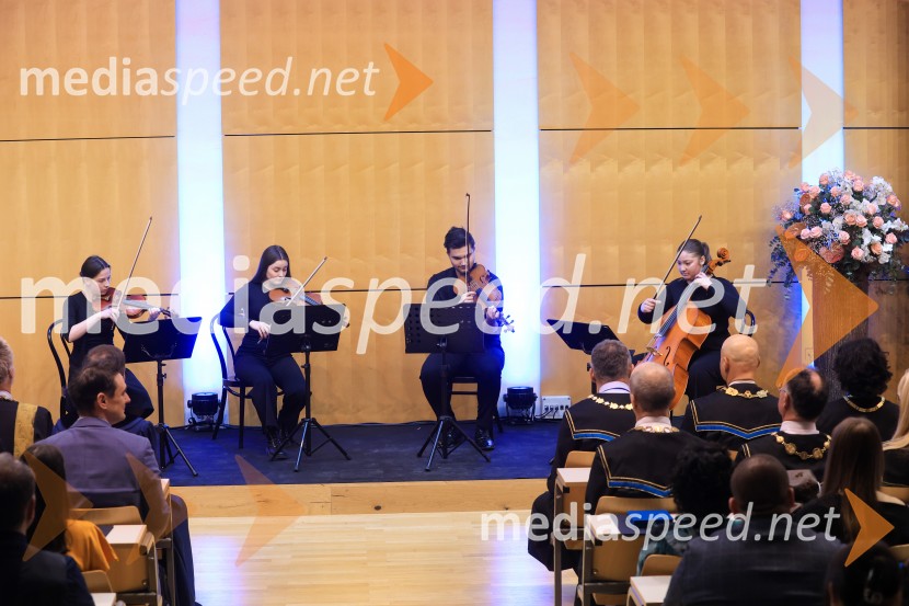 Univerza v Mariboru  ob rektorjevem dnevu podelila nagrade in priznanja