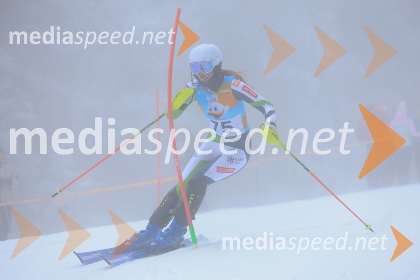 VN ARGETA  DP v slalomu U14 in U 16, v organizaciji SK Maribor