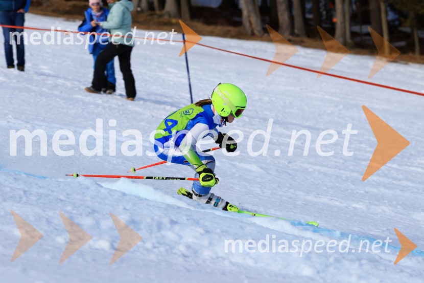 32. Pokal Roka Petroviča v smučanju za otroke