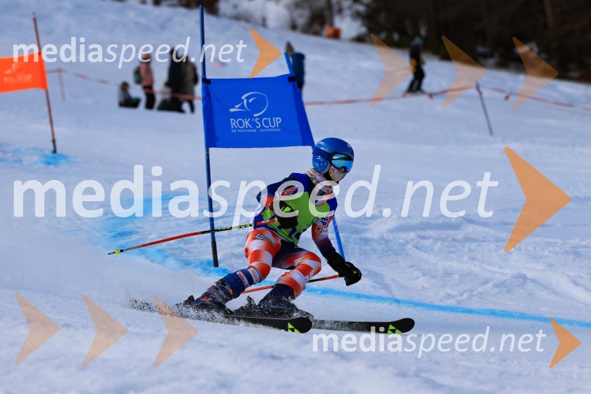 32. Pokal Roka Petroviča v smučanju za otroke