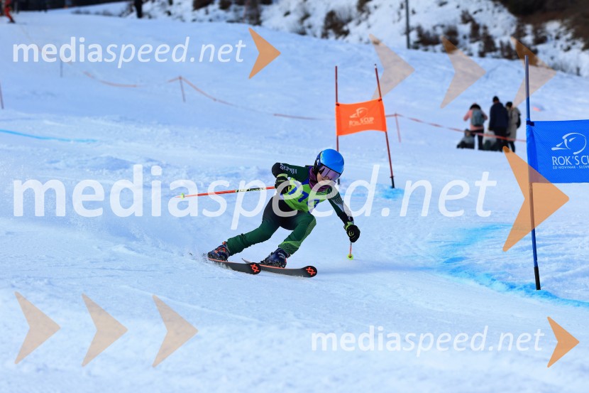 32. Pokal Roka Petroviča v smučanju za otroke