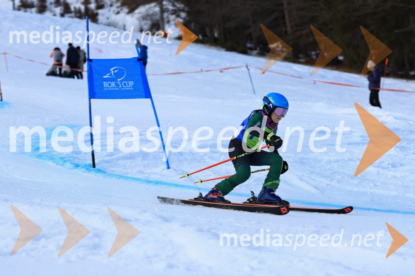 32. Pokal Roka Petroviča v smučanju za otroke