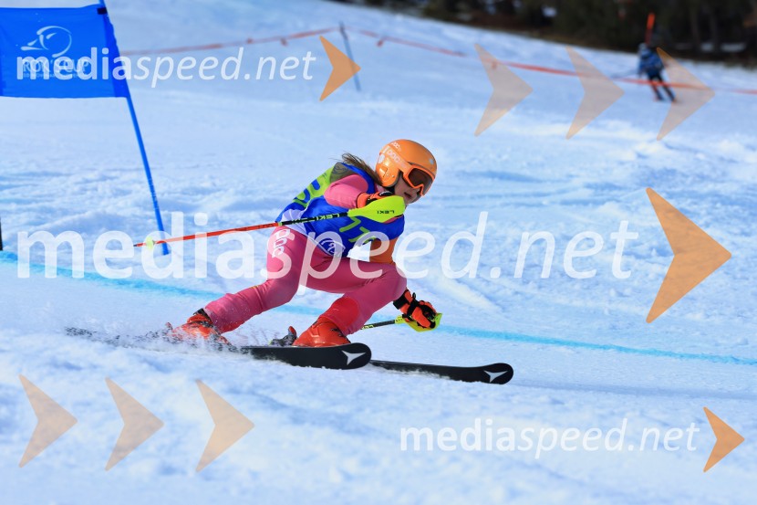32. Pokal Roka Petroviča v smučanju za otroke