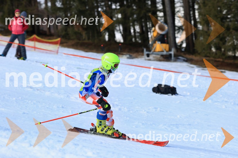 32. Pokal Roka Petroviča v smučanju za otroke