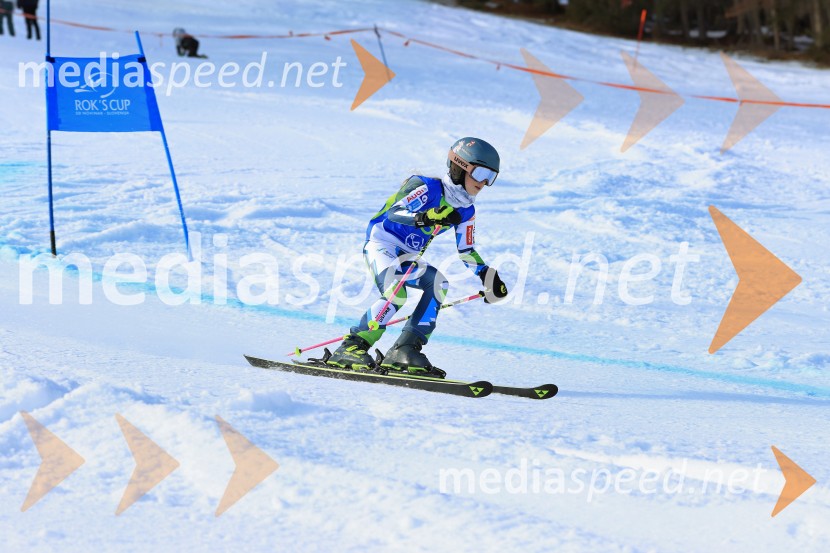 32. Pokal Roka Petroviča v smučanju za otroke