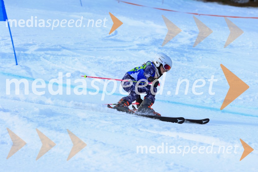 32. Pokal Roka Petroviča v smučanju za otroke