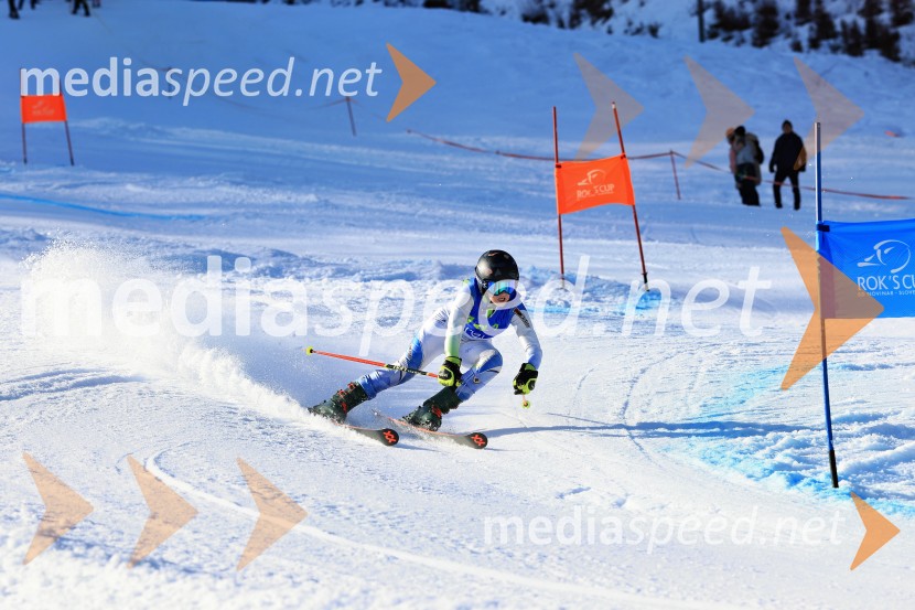 32. Pokal Roka Petroviča v smučanju za otroke