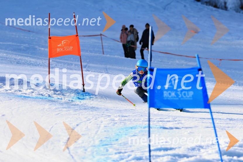 32. Pokal Roka Petroviča v smučanju za otroke