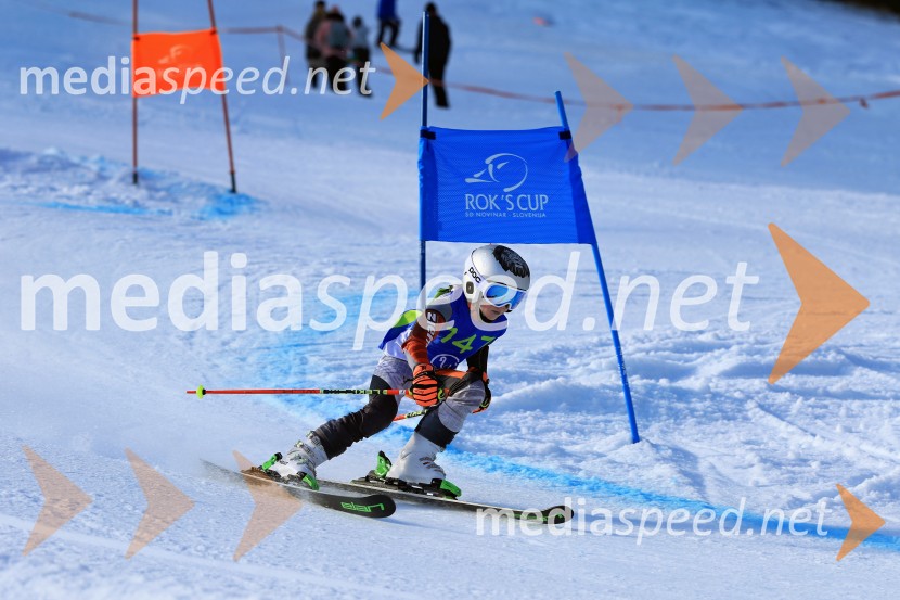 32. Pokal Roka Petroviča v smučanju za otroke