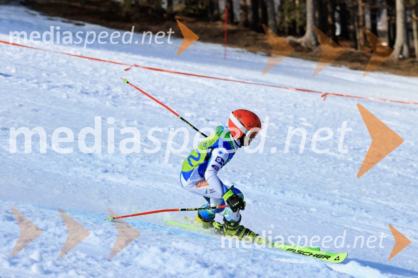 32. Pokal Roka Petroviča v smučanju za otroke