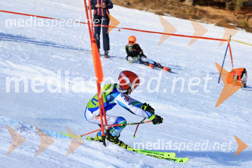 32. Pokal Roka Petroviča v smučanju za otroke
