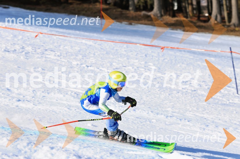 32. Pokal Roka Petroviča v smučanju za otroke