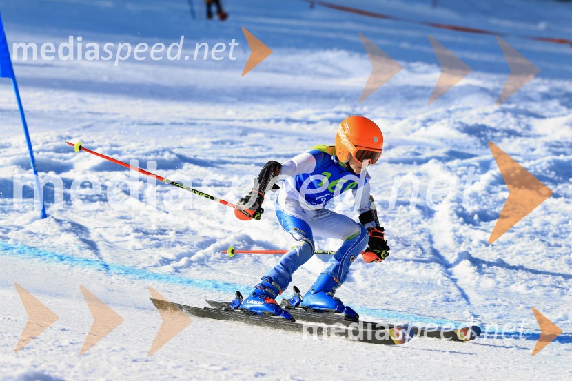 32. Pokal Roka Petroviča v smučanju za otroke