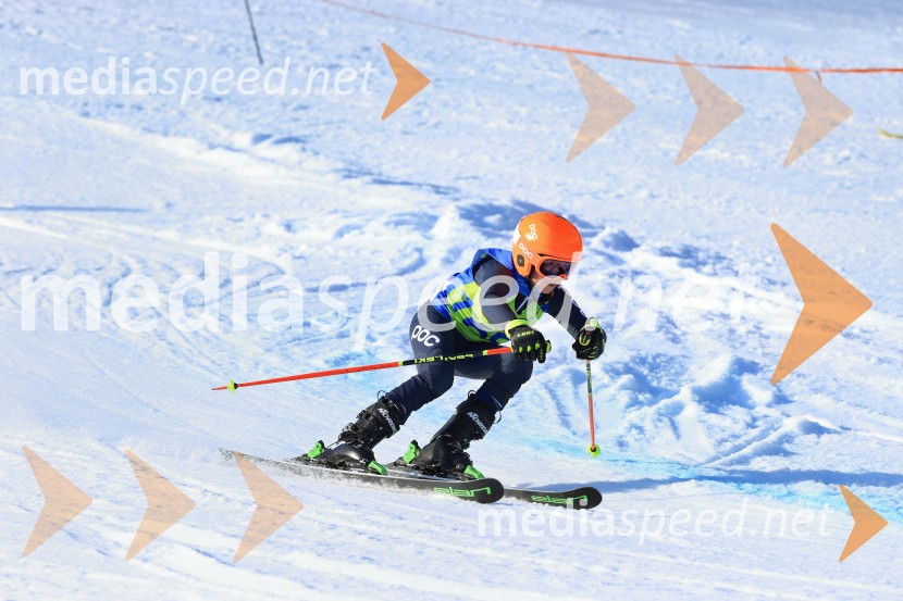 32. Pokal Roka Petroviča v smučanju za otroke