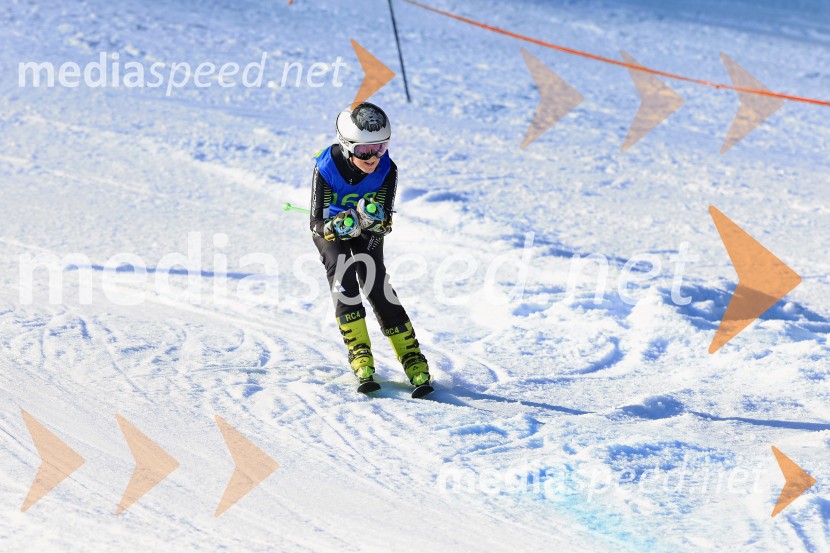 32. Pokal Roka Petroviča v smučanju za otroke