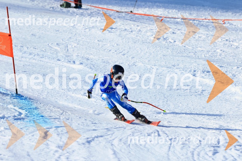 32. Pokal Roka Petroviča v smučanju za otroke