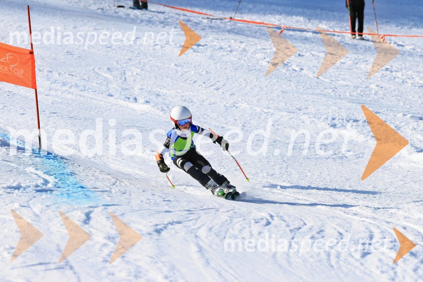 32. Pokal Roka Petroviča v smučanju za otroke