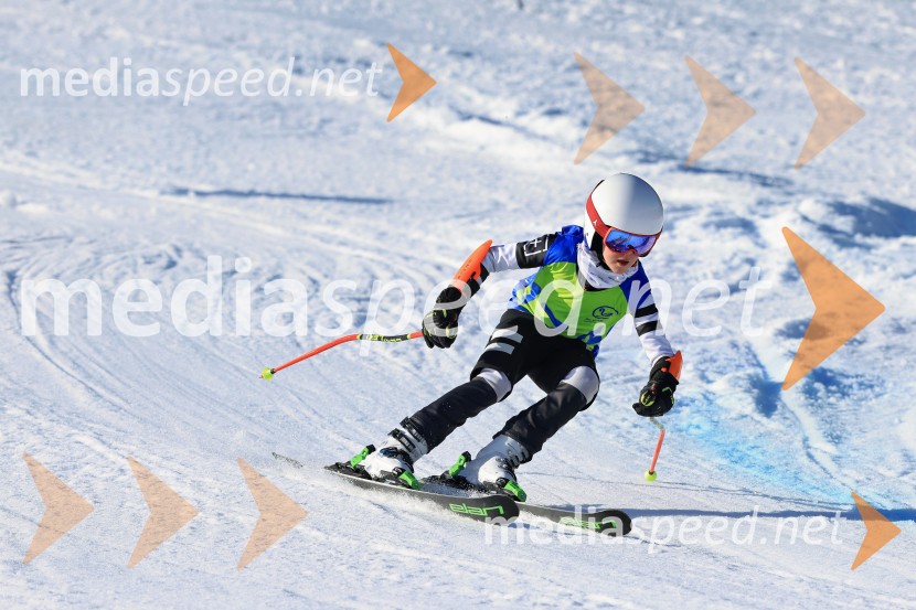 32. Pokal Roka Petroviča v smučanju za otroke