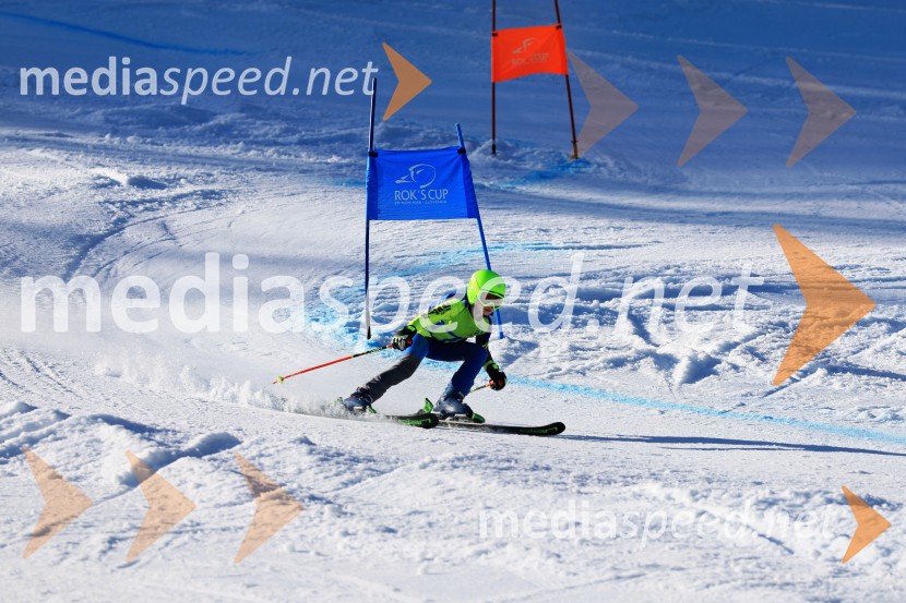 32. Pokal Roka Petroviča v smučanju za otroke