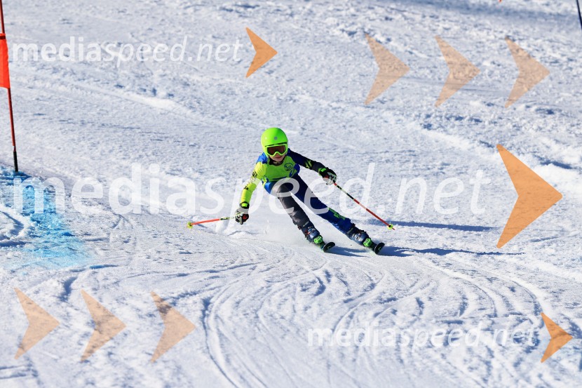 32. Pokal Roka Petroviča v smučanju za otroke