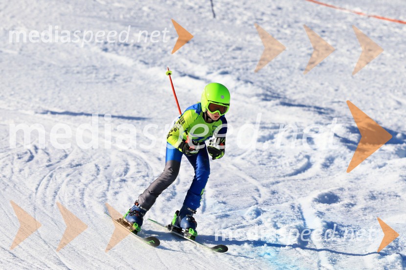 32. Pokal Roka Petroviča v smučanju za otroke