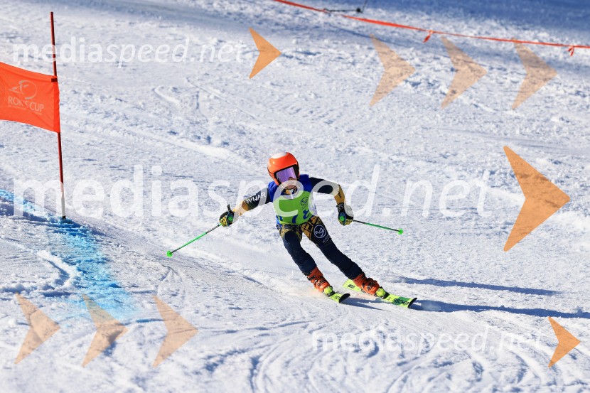 32. Pokal Roka Petroviča v smučanju za otroke