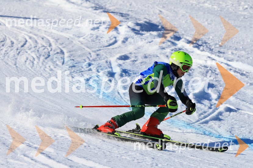 32. Pokal Roka Petroviča v smučanju za otroke