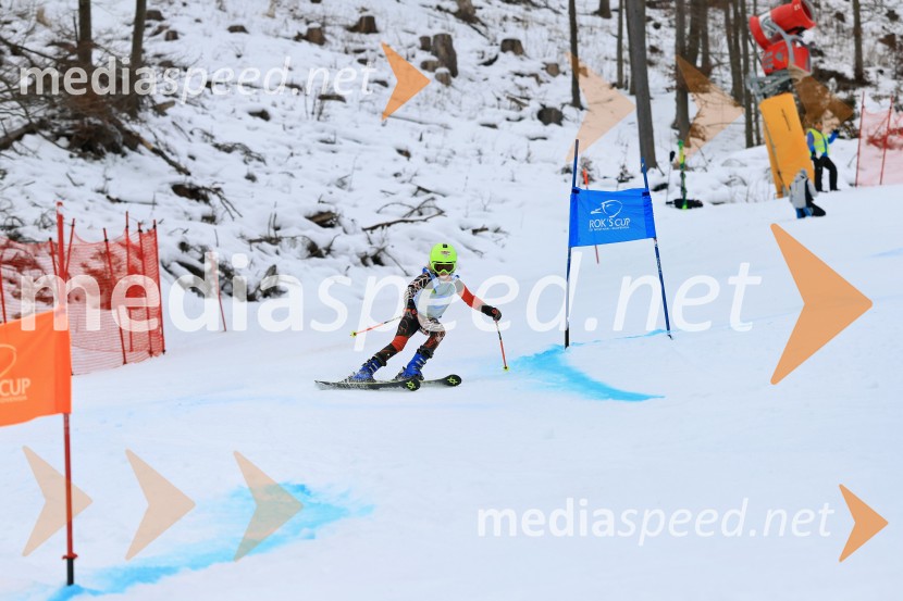 32. Pokal Roka Petroviča v smučanju za otroke