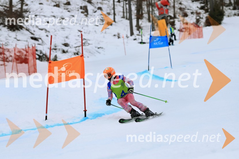 32. Pokal Roka Petroviča v smučanju za otroke