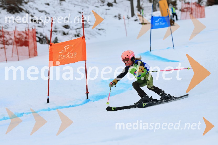 32. Pokal Roka Petroviča v smučanju za otroke