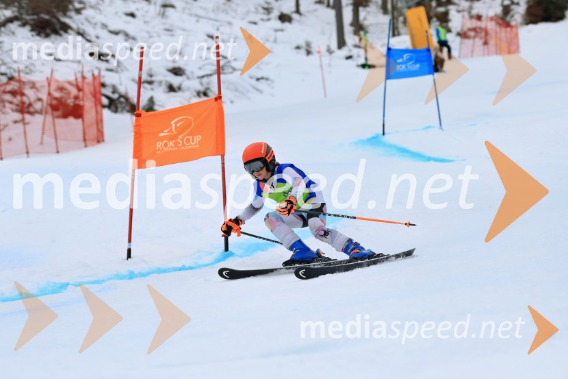 32. Pokal Roka Petroviča v smučanju za otroke
