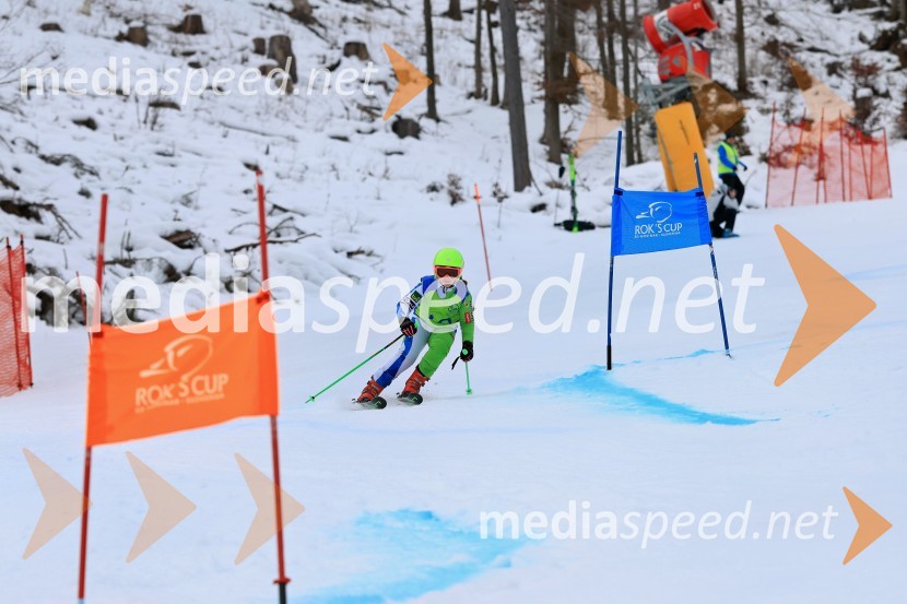 32. Pokal Roka Petroviča v smučanju za otroke